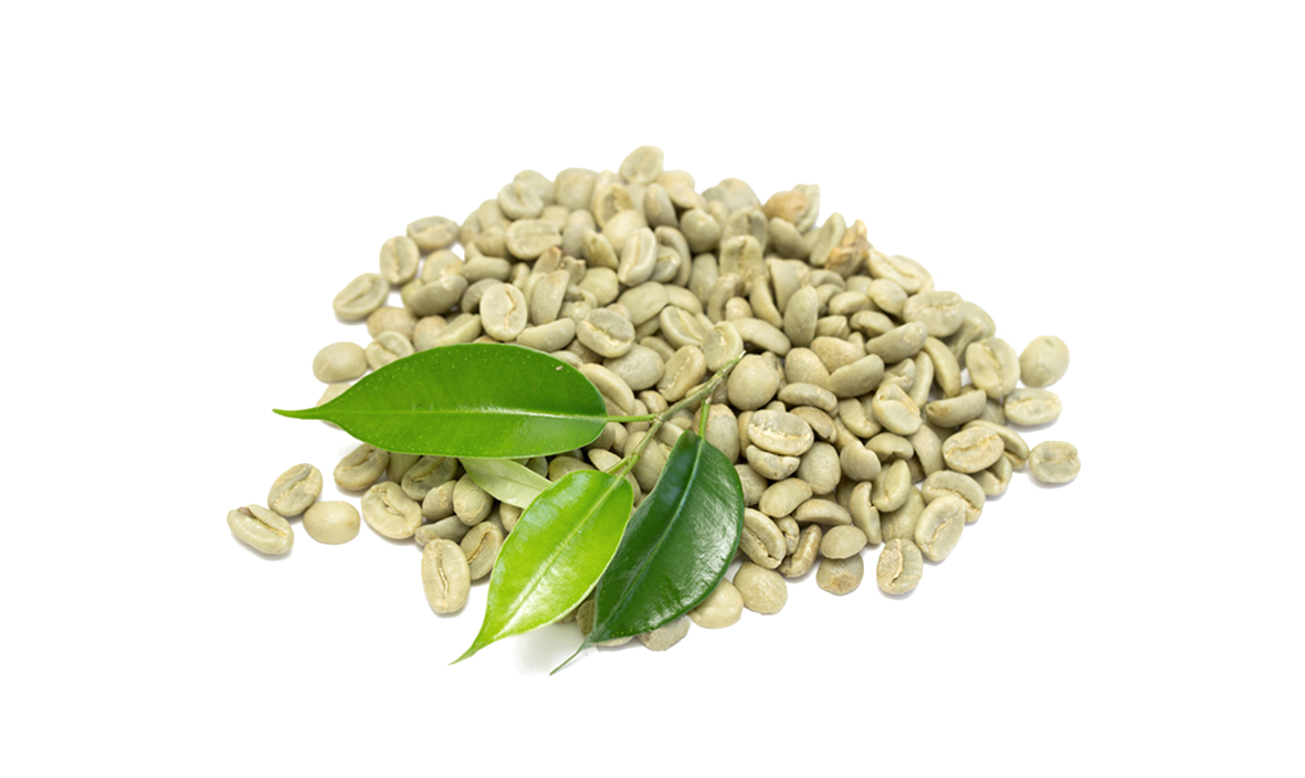 绿咖啡豆.png